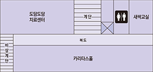 3층 구조